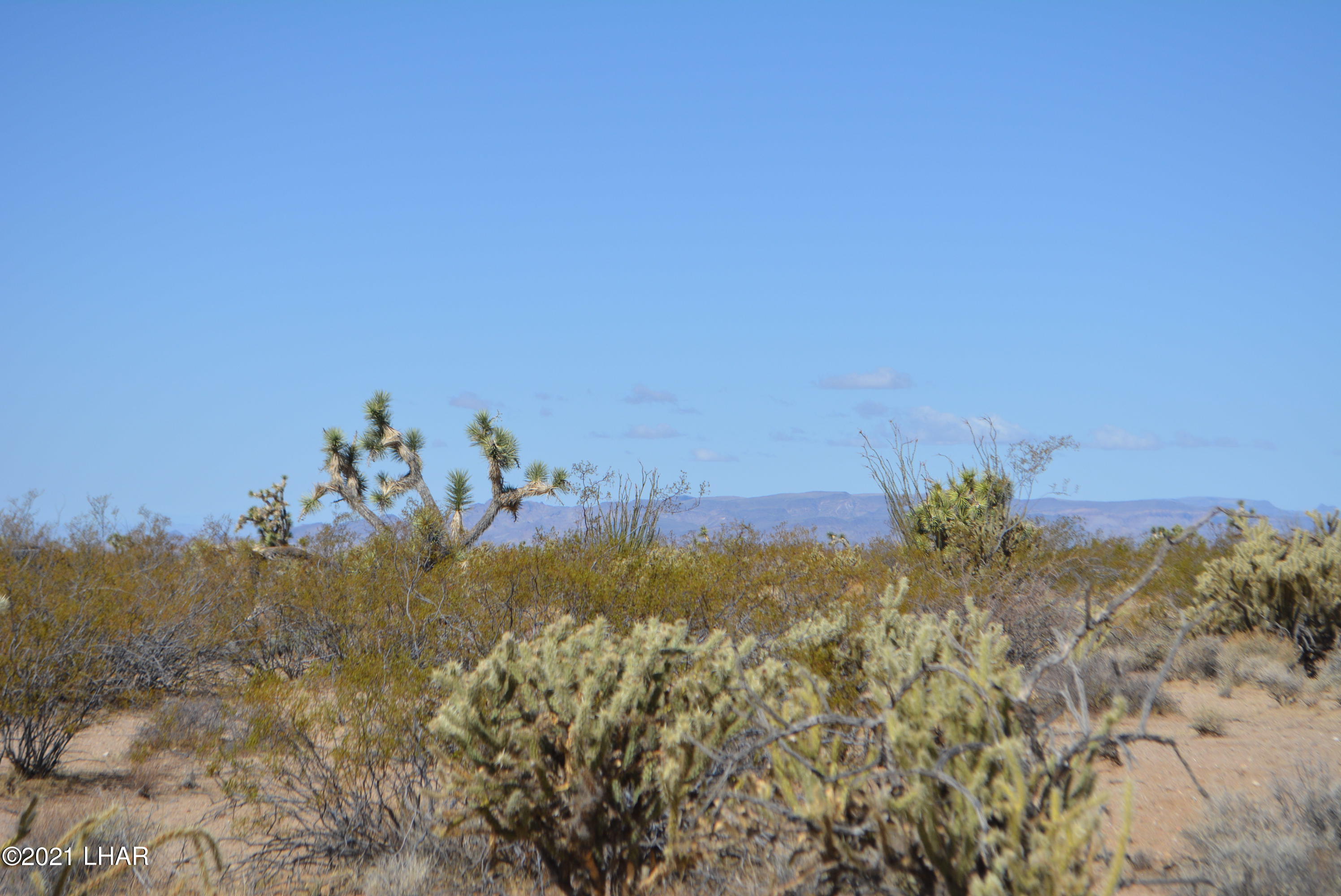 2791 South Wyatt Earp Road Yucca, AZ 86438 - Photo 22 of 29 DSC_0860