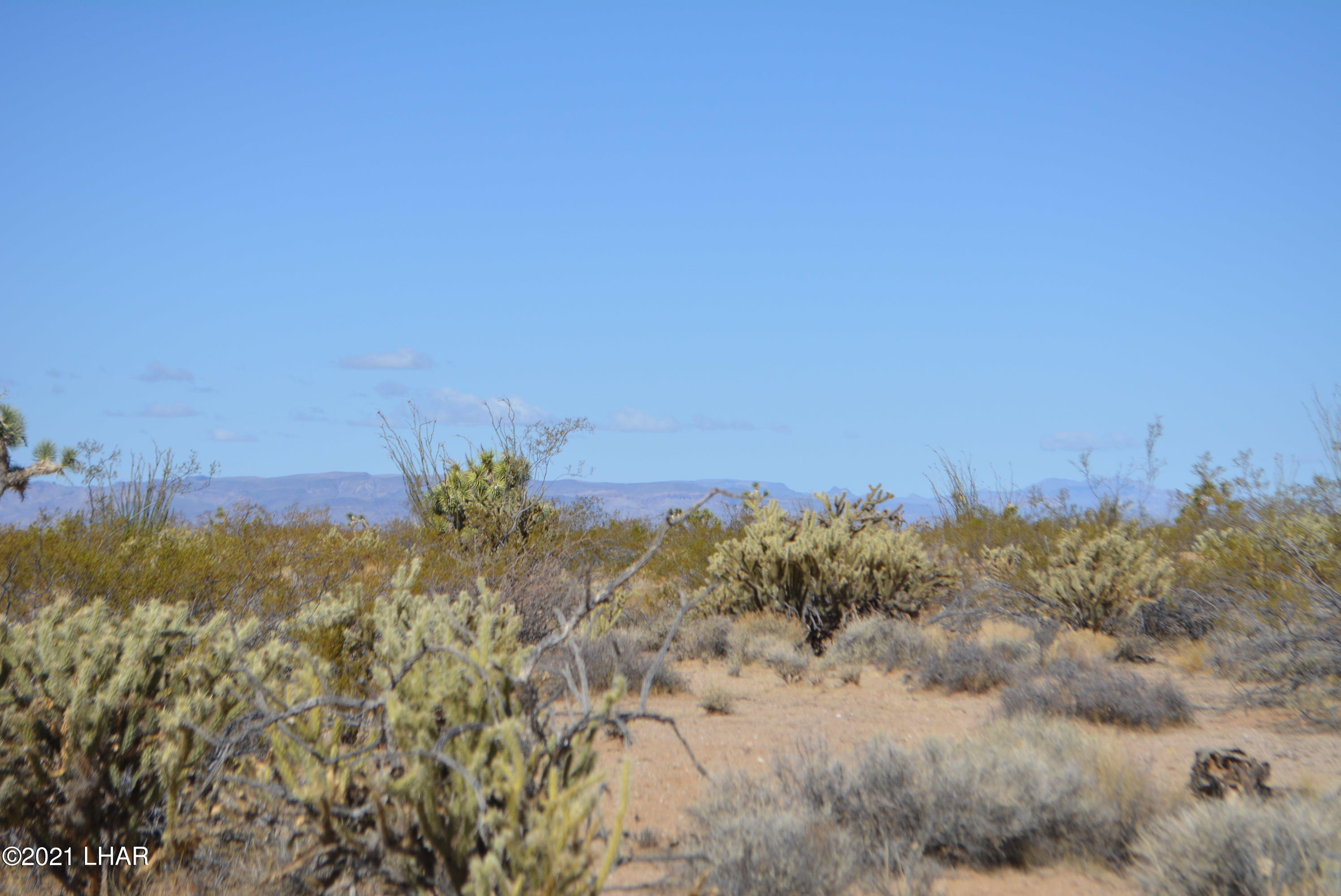 2791 South Wyatt Earp Road Yucca, AZ 86438 - Photo 23 of 29 DSC_0861