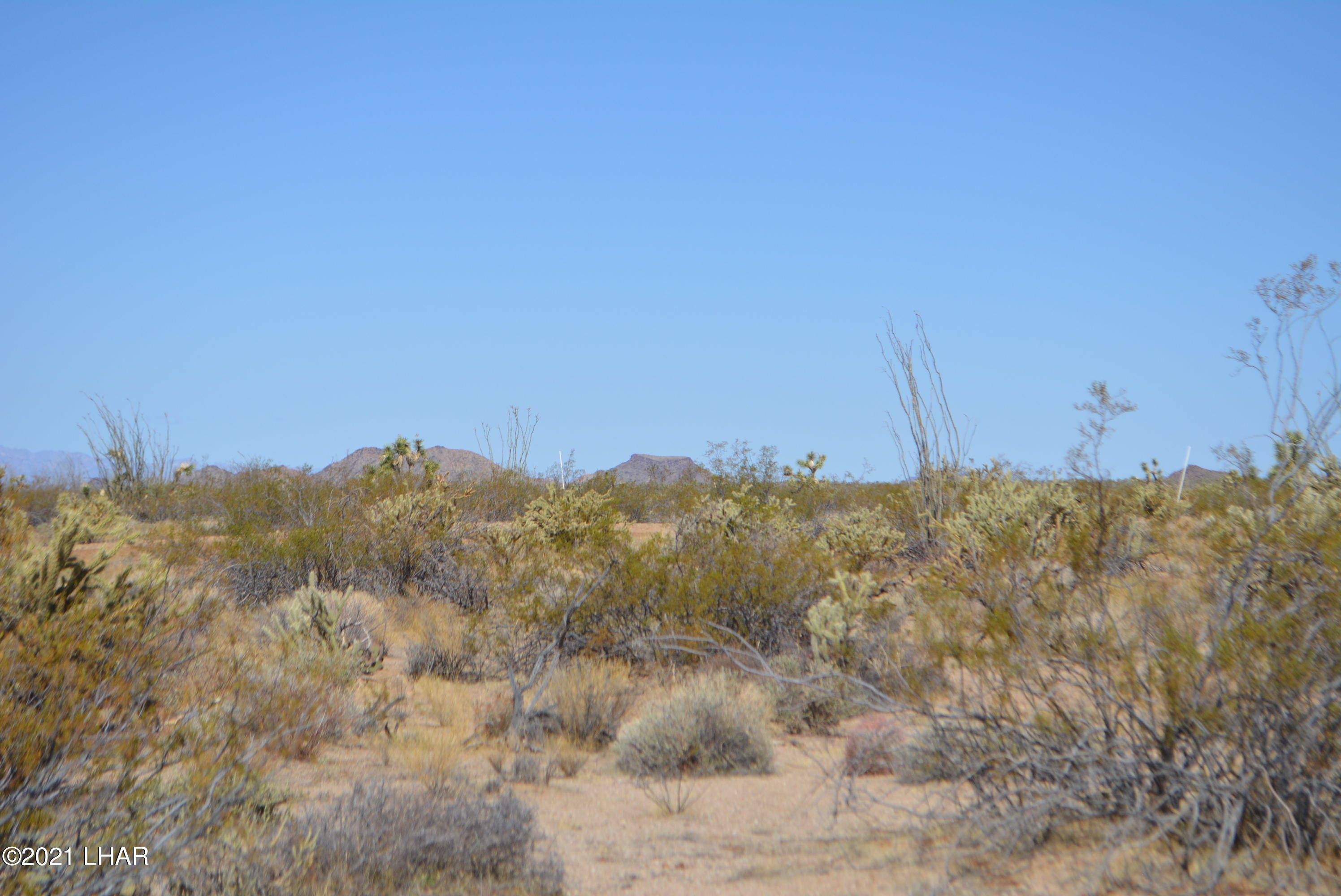 2791 South Wyatt Earp Road Yucca, AZ 86438 - Photo 24 of 29 DSC_0862