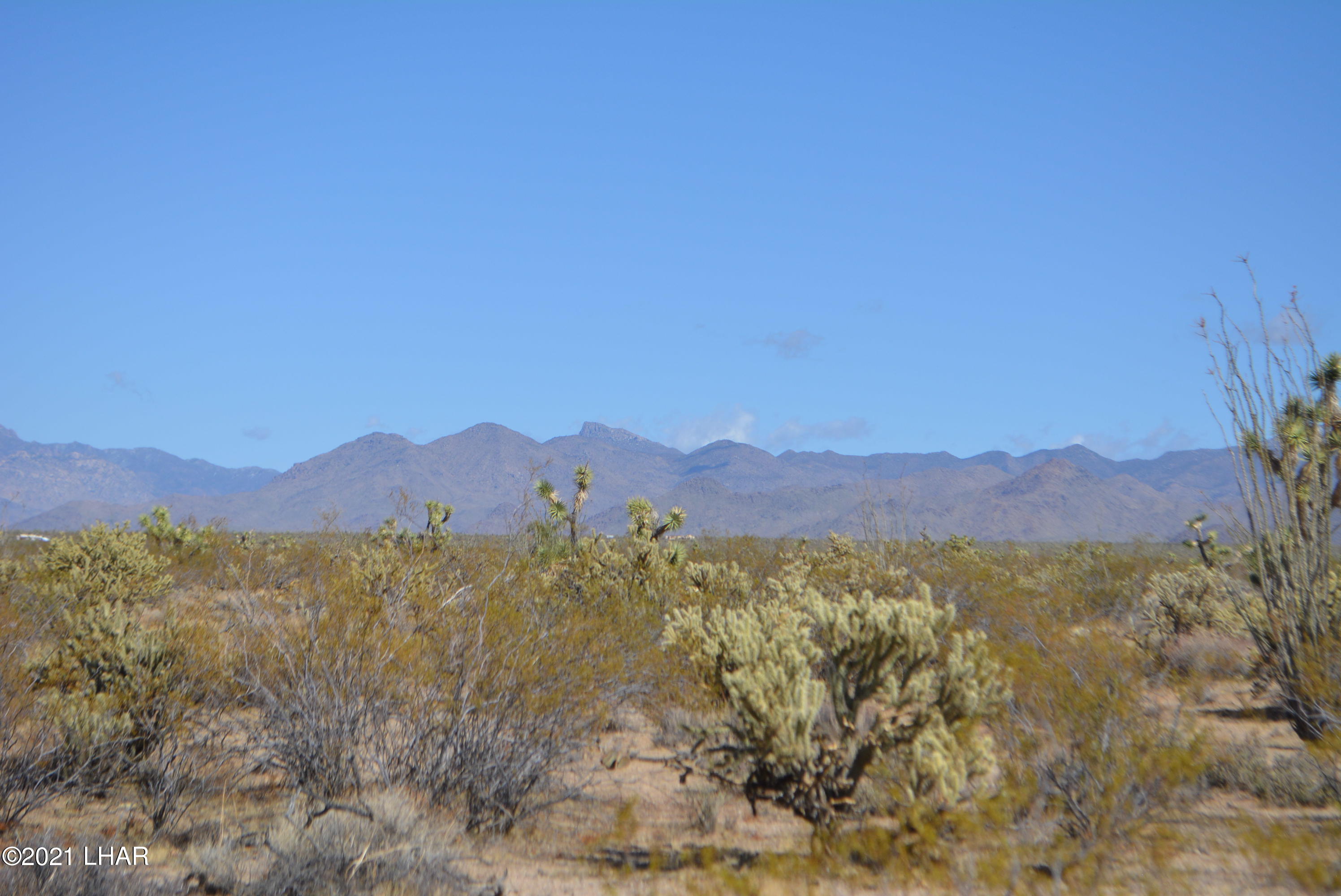 2791 South Wyatt Earp Road Yucca, AZ 86438 - Photo 25 of 29 DSC_0863