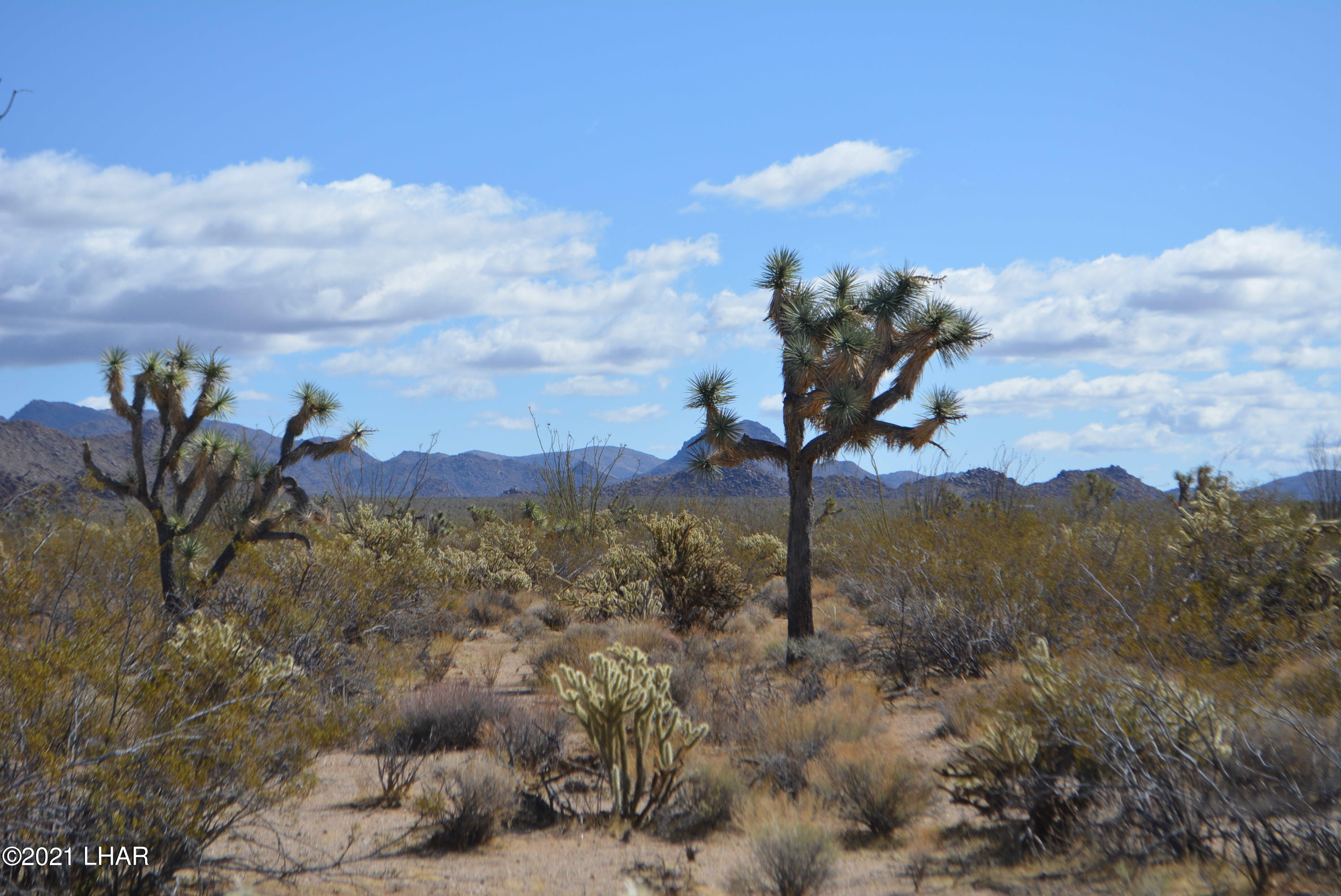 2791 South Wyatt Earp Road Yucca, AZ 86438 - Photo 27 of 29 DSC_0865