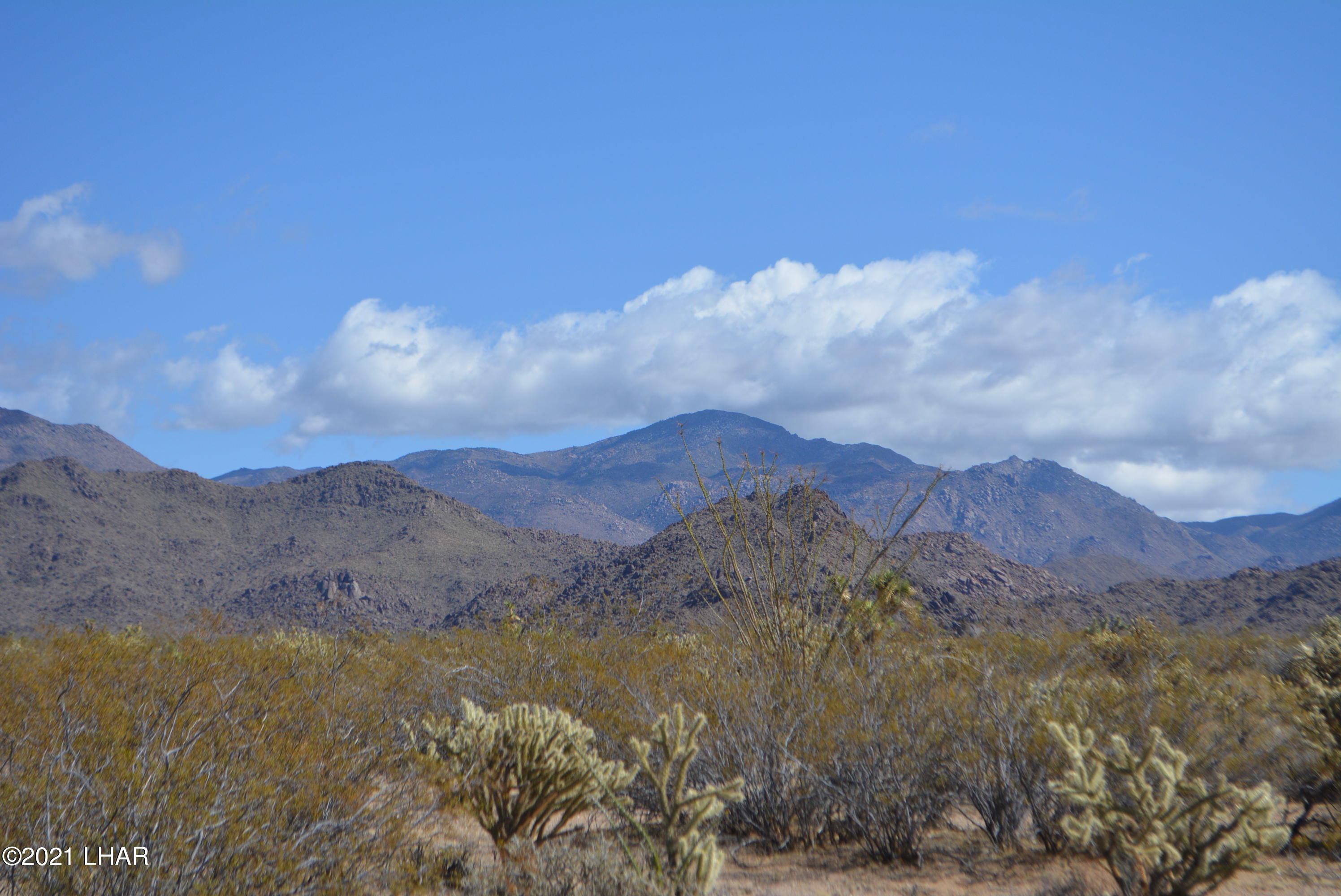 2791 South Wyatt Earp Road Yucca, AZ 86438 - Photo 28 of 29 DSC_0866