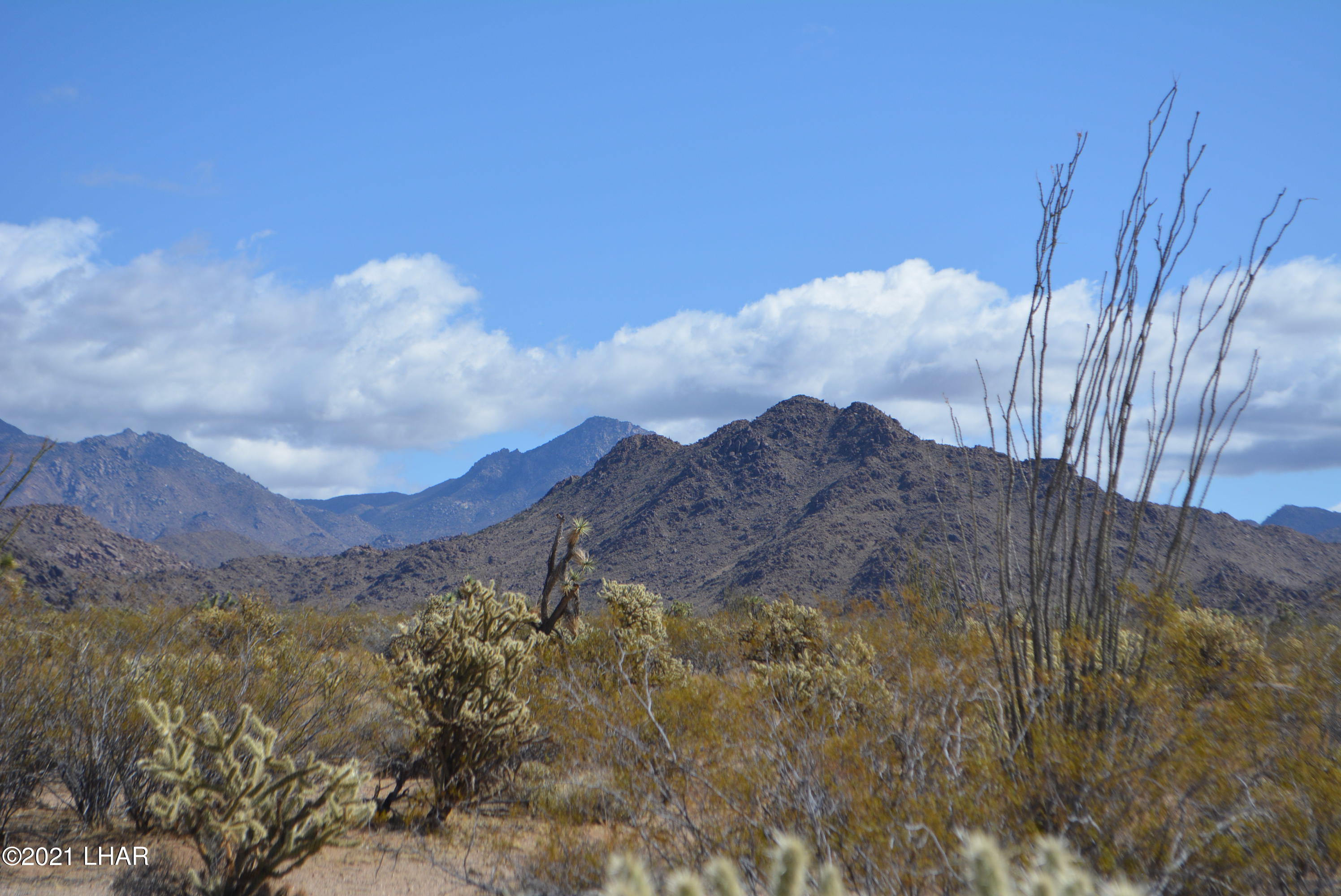 2791 South Wyatt Earp Road Yucca, AZ 86438 - Photo 29 of 29 DSC_0867