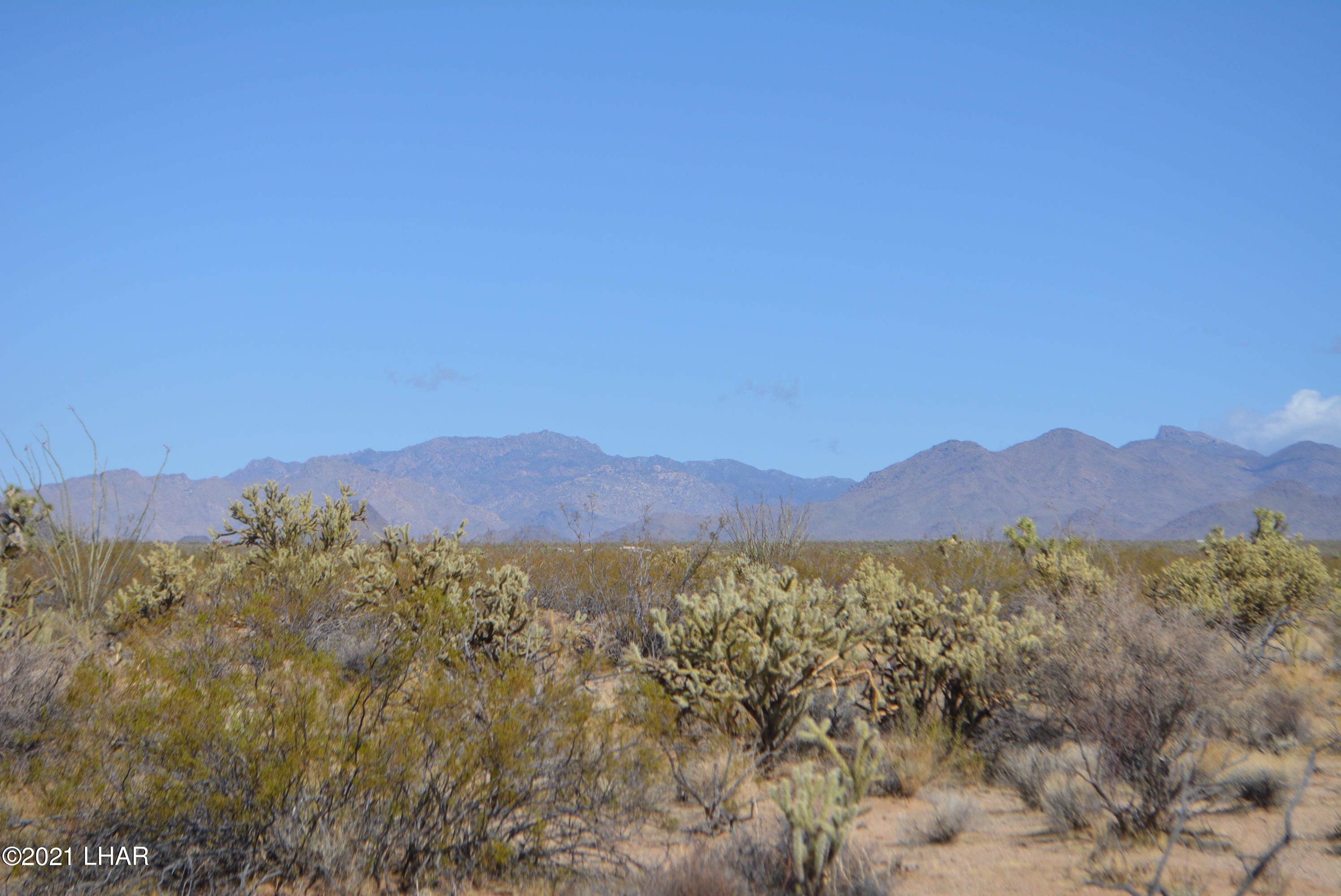 2791 South Wyatt Earp Road Yucca, AZ 86438 - Photo 3 of 29 DSC_0839