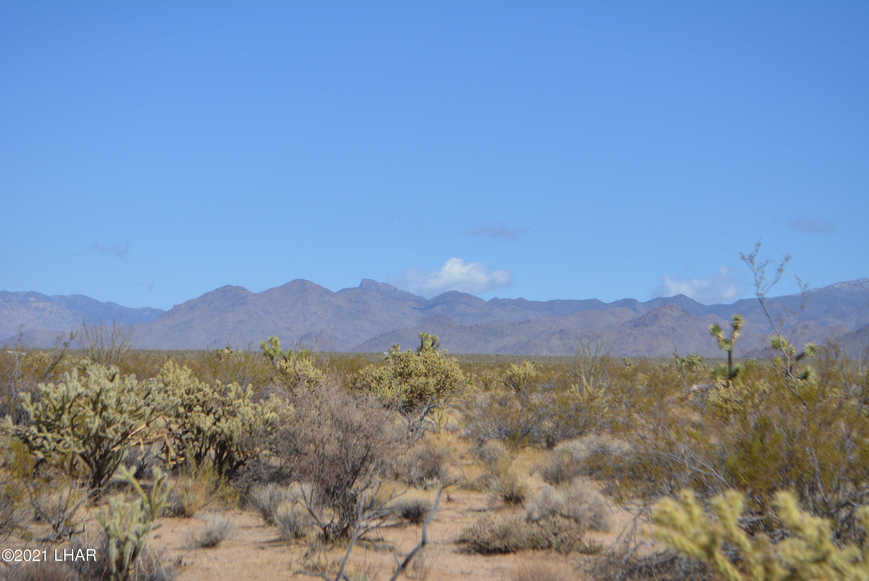 2791 South Wyatt Earp Road Yucca, AZ 86438 - Photo 4 of 29 DSC_0840