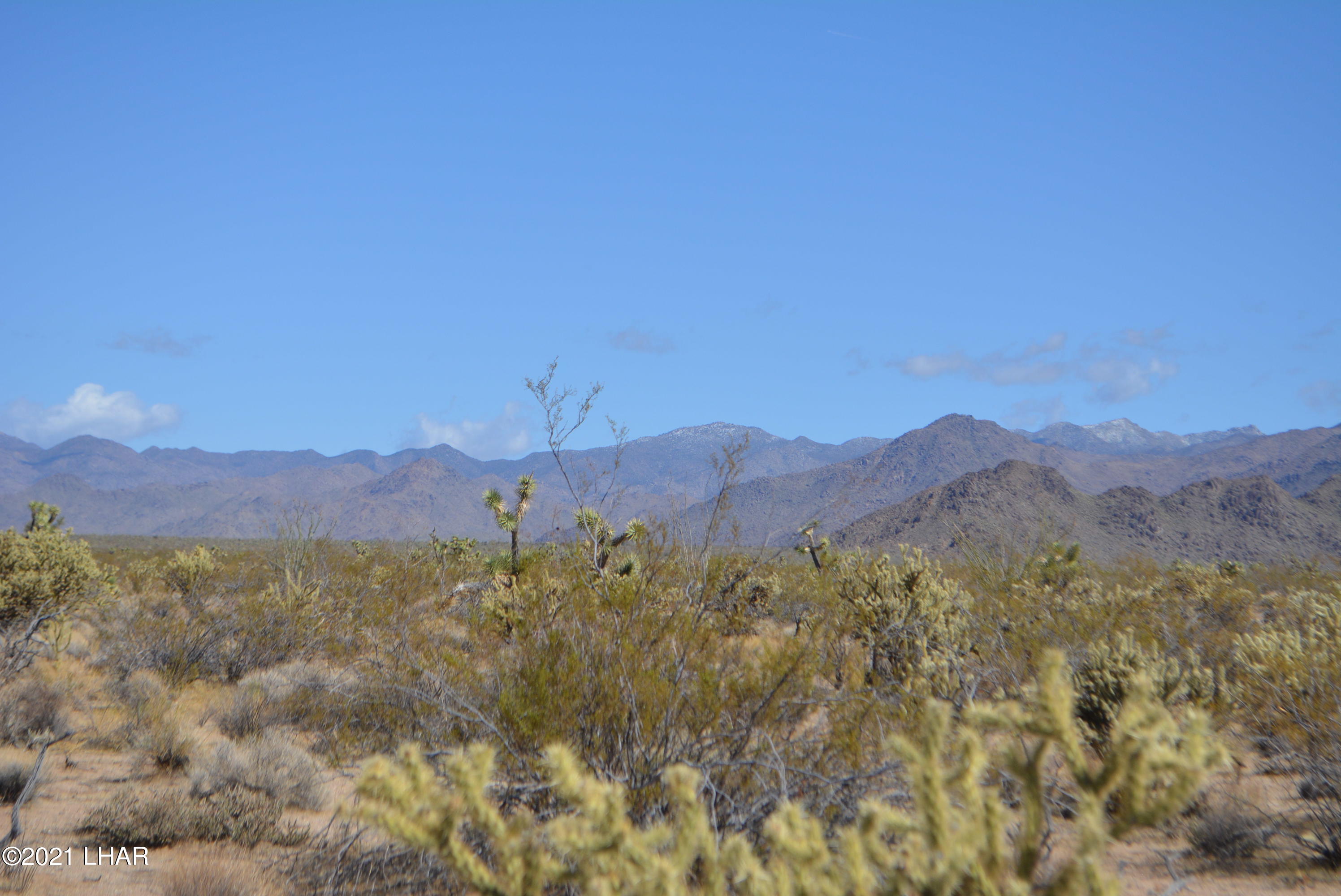 2791 South Wyatt Earp Road Yucca, AZ 86438 - Photo 5 of 29 DSC_0841