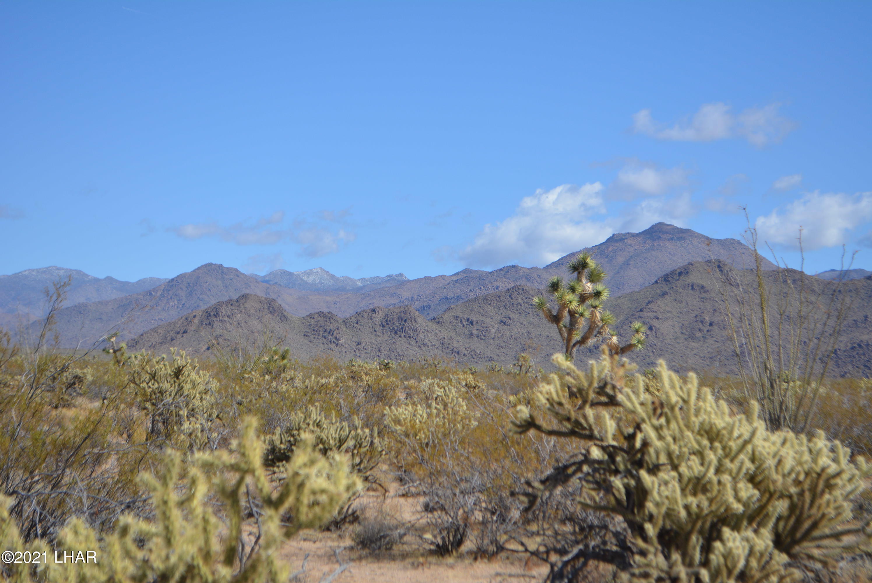 2791 South Wyatt Earp Road Yucca, AZ 86438 - Photo 6 of 29 DSC_0842