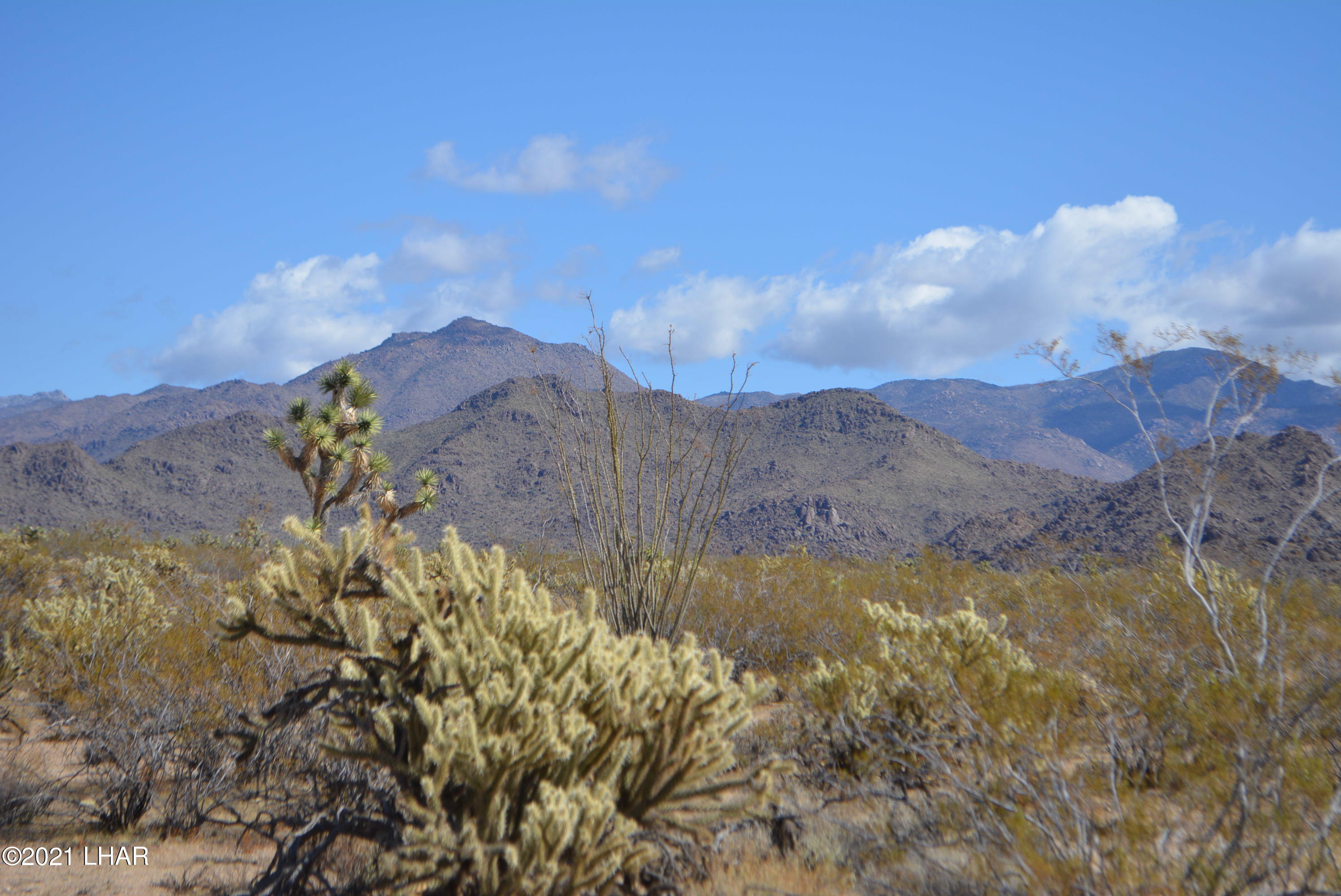 2791 South Wyatt Earp Road Yucca, AZ 86438 - Photo 7 of 29 DSC_0843