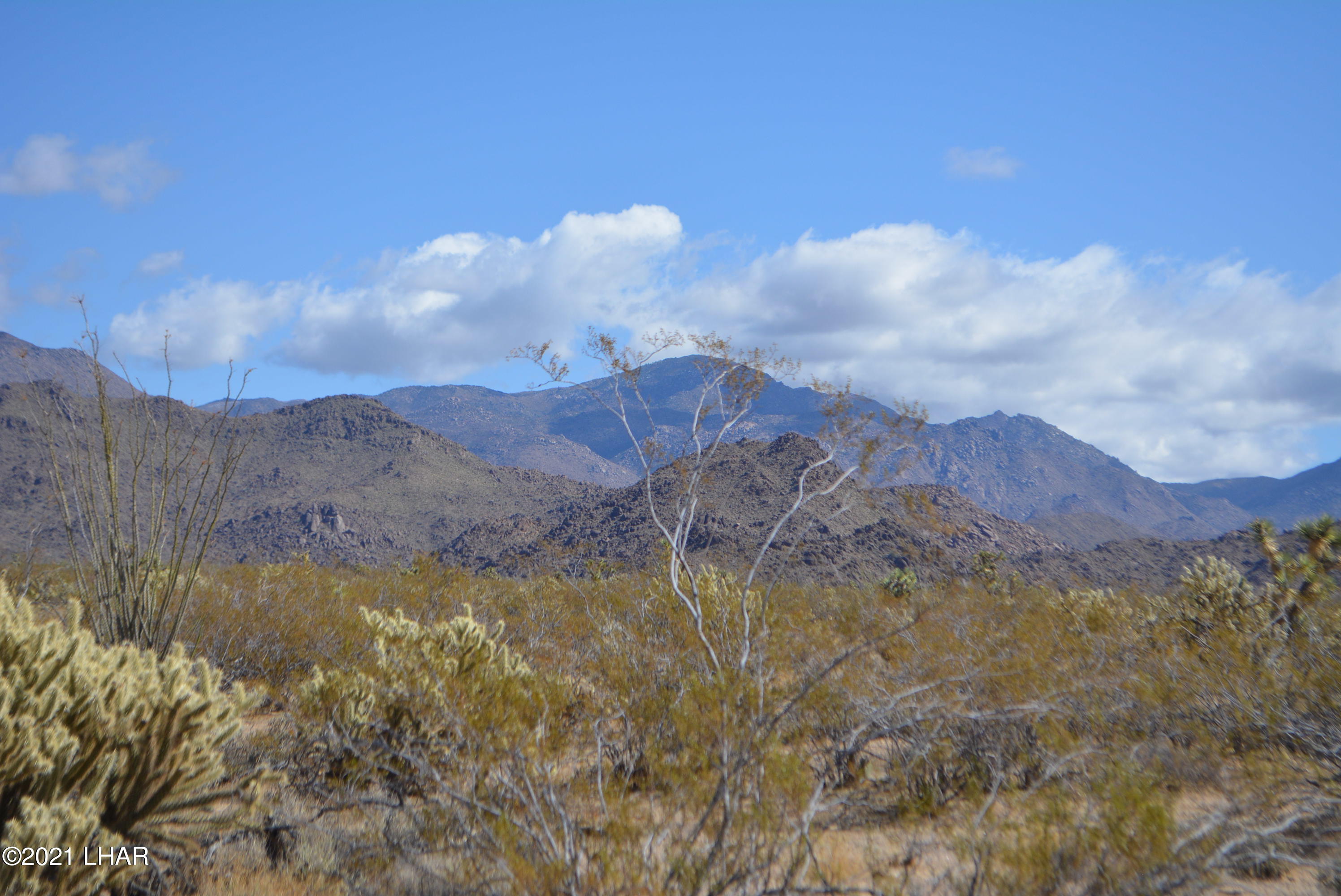 2791 South Wyatt Earp Road Yucca, AZ 86438 - Photo 8 of 29 DSC_0844
