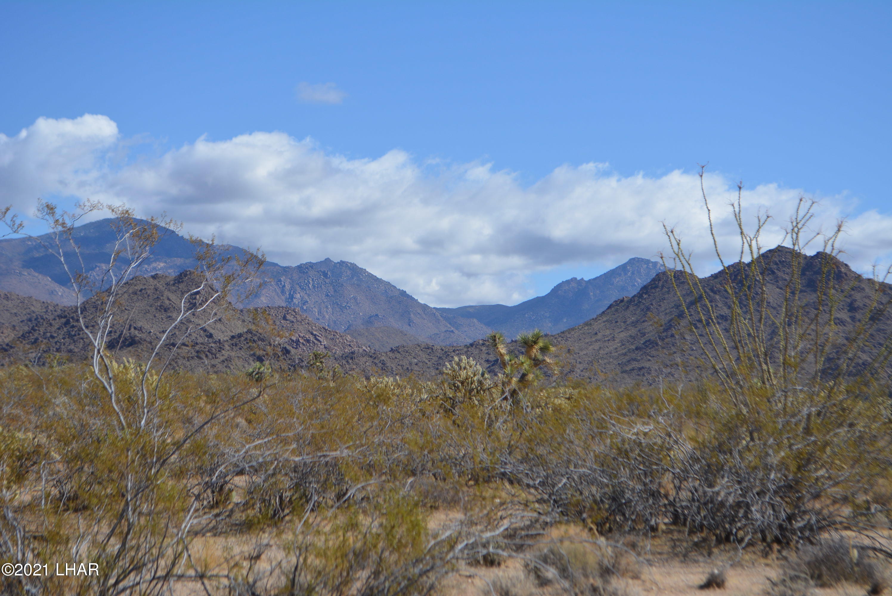 2791 South Wyatt Earp Road Yucca, AZ 86438 - Photo 9 of 29 DSC_0845