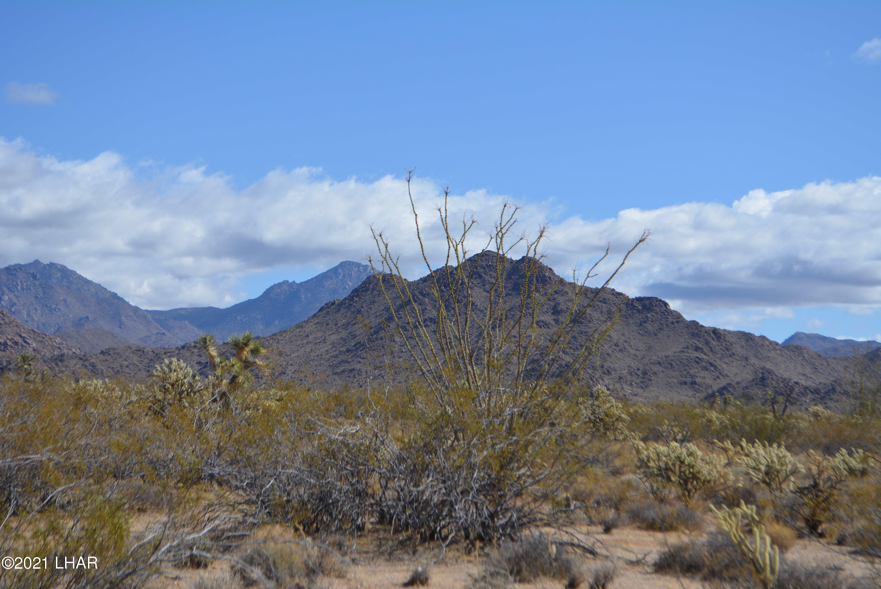 2791 South Wyatt Earp Road Yucca, AZ 86438 - Photo 10 of 29 DSC_0846