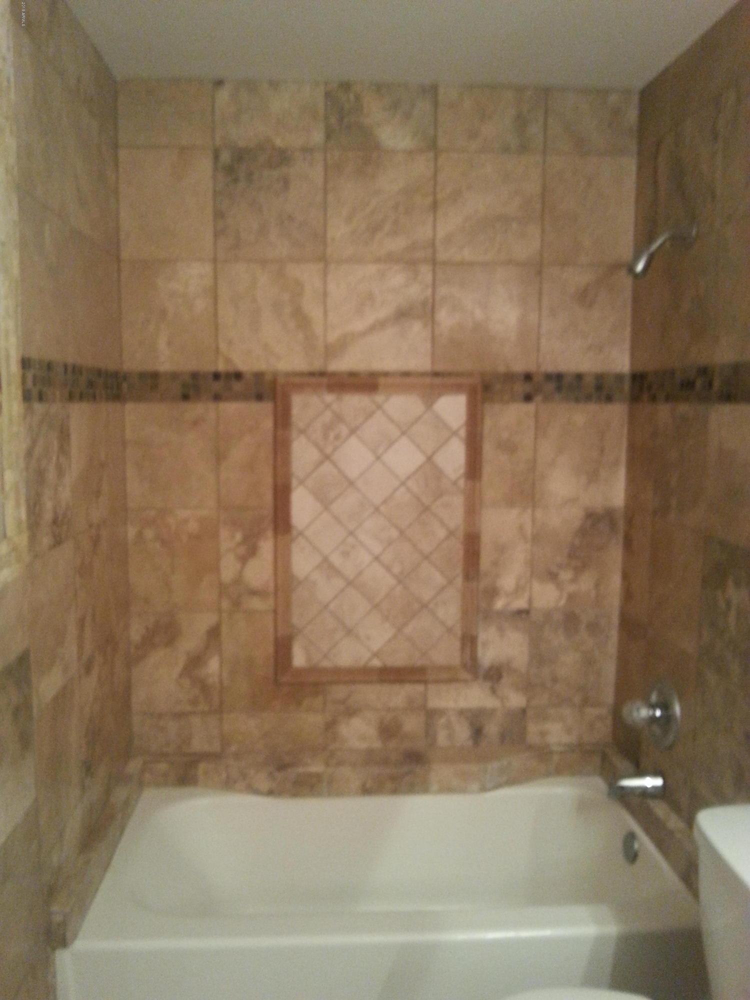 11604 West Alvarado Road Avondale, AZ 85392 - Photo 10 of 12 Guest Bath