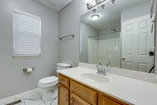 a bathroom with a sink toilet and vanity