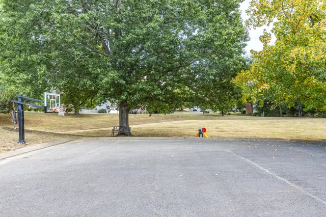 a view of a swimming pool with a yard