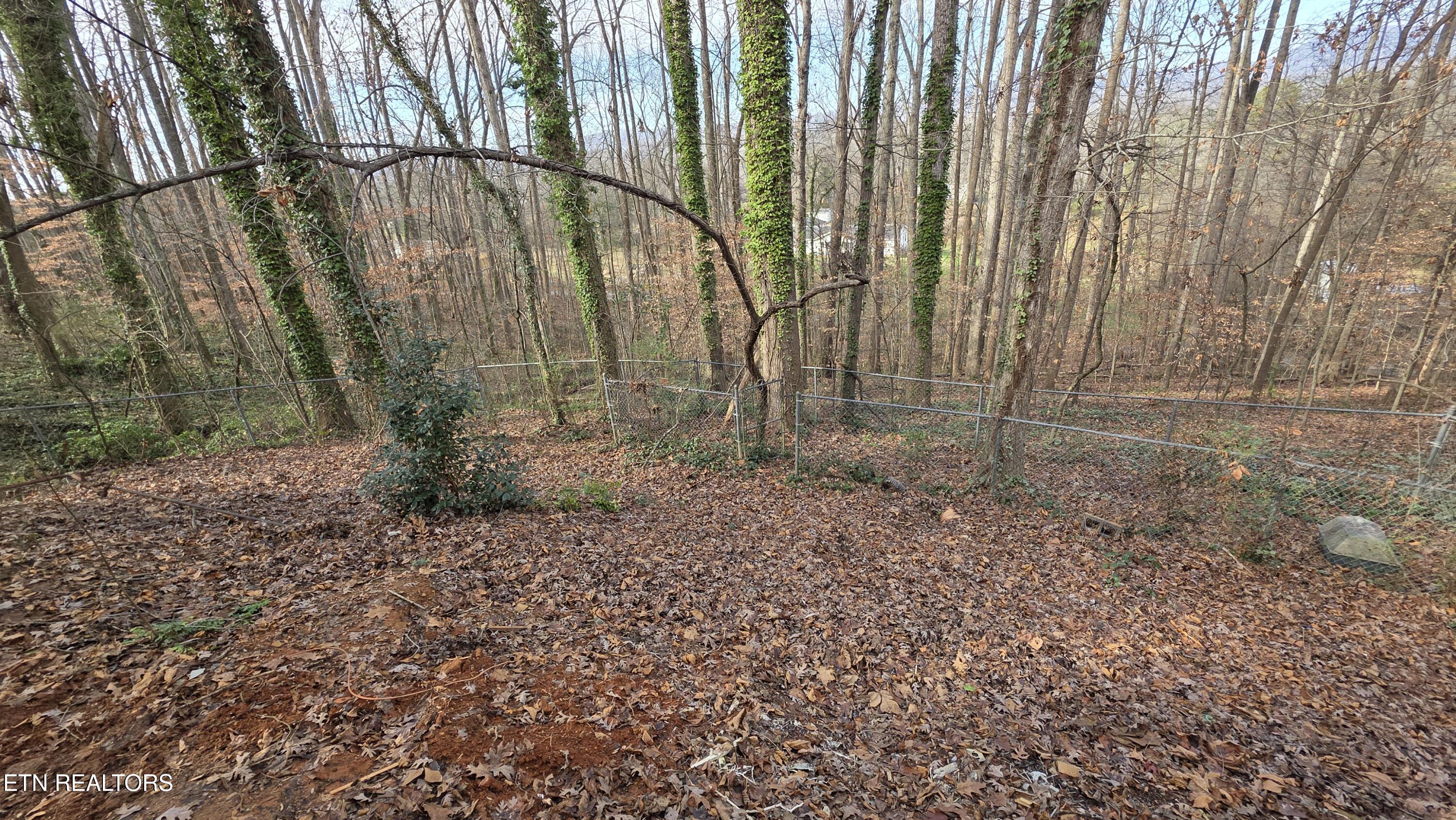 1135 West Outer Drive Oak Ridge, TN 37830 - Photo 56 of 59 1000007274