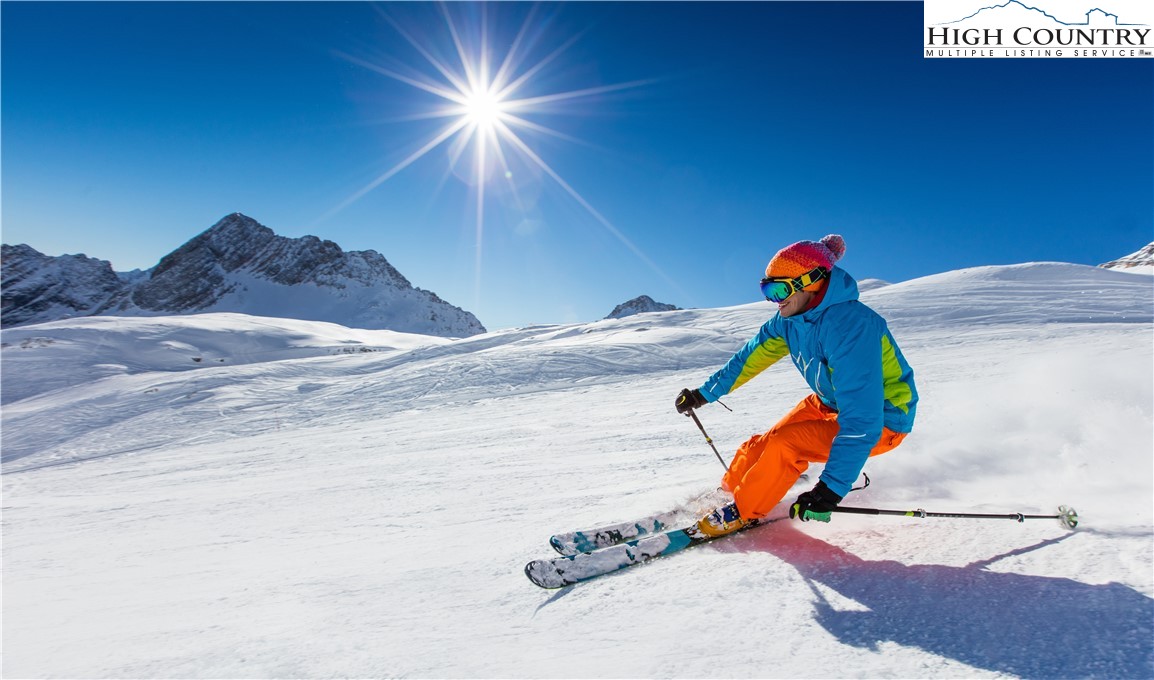 1644 Broadstone Road Banner Elk, NC 28604 - Photo 47 of 49