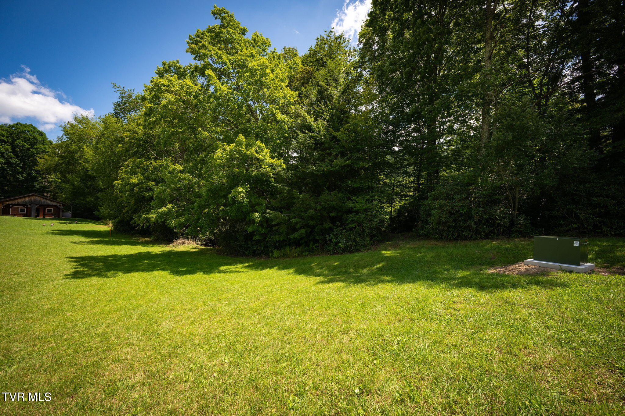1776 Ripshin Mountain Road, Unit 56 Roan Mountain, TN 37687 - Photo 45 of 61 67-web-or-mls-EXT_5787