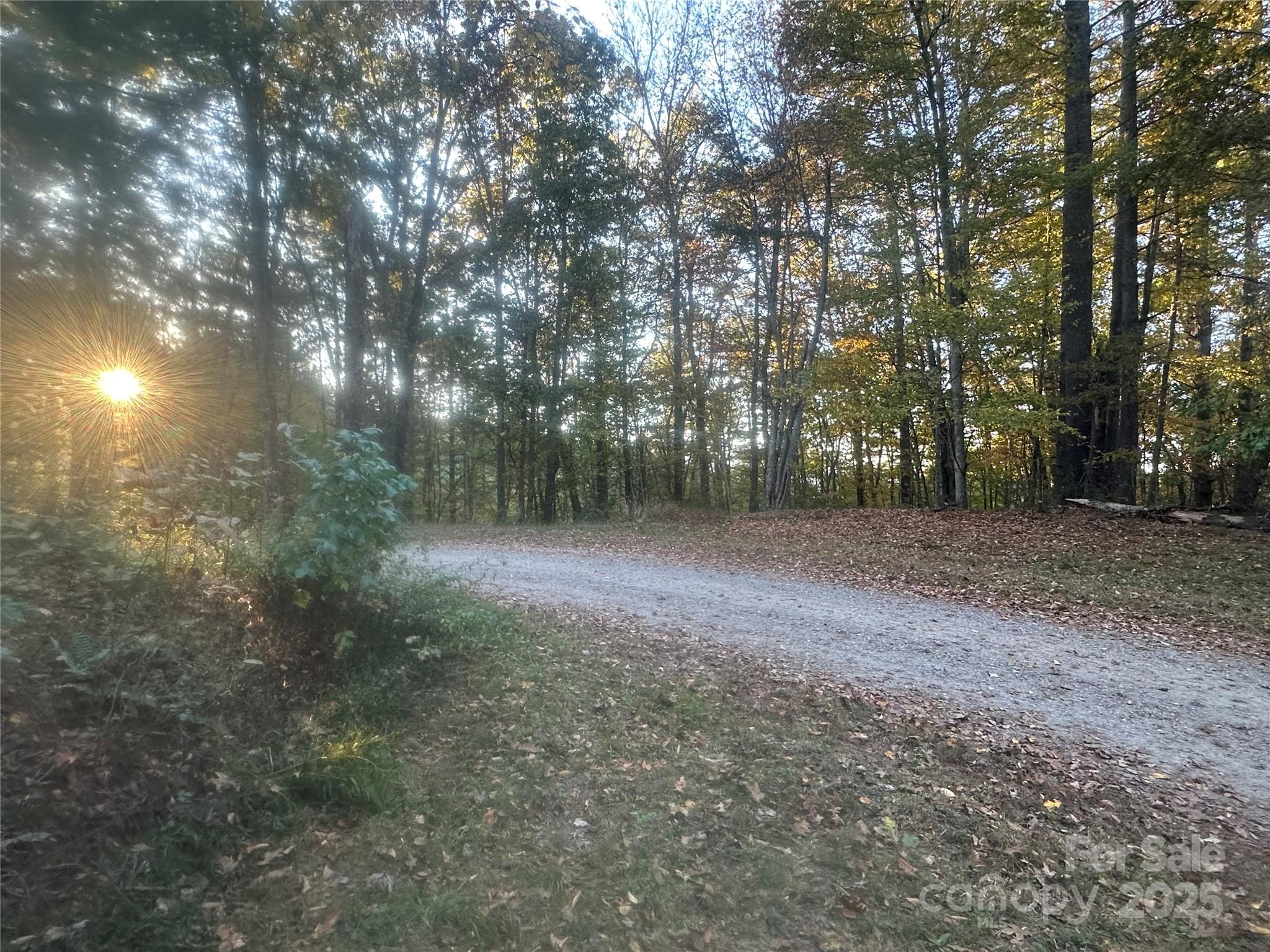 0 Wildlife Drive, Unit 7 Clyde, NC 28721 - Photo 6 of 8