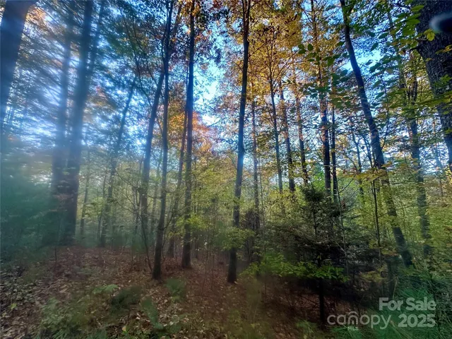 $79,000 | 0 Wildlife Drive, Unit 7, Clyde, NC 28721