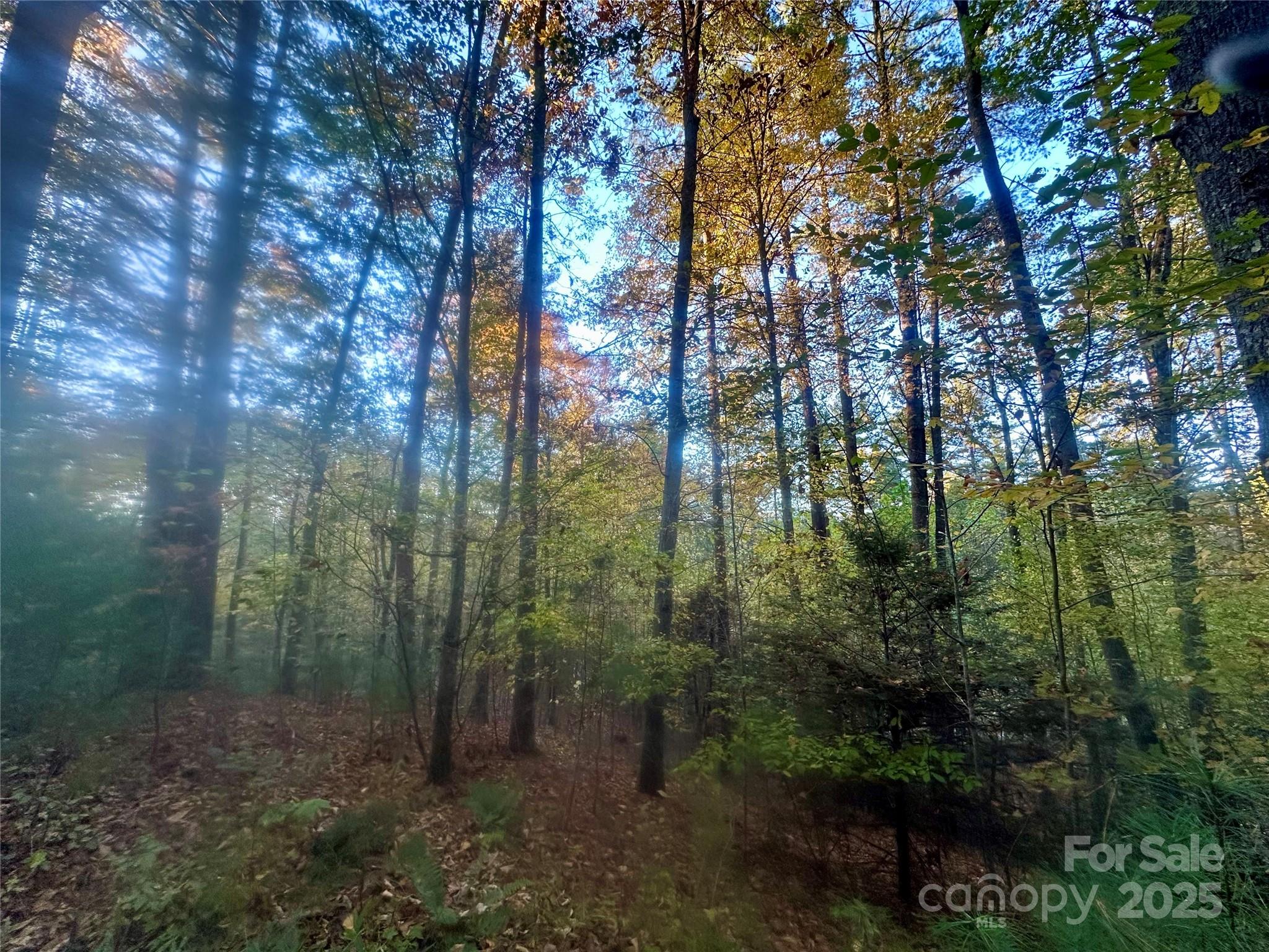 0 Wildlife Drive, Unit 7 Clyde, NC 28721 - Photo 7 of 8