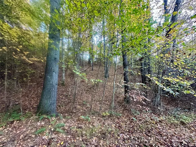 $79,000 | 0 Wildlife Drive, Unit 7, Clyde, NC 28721