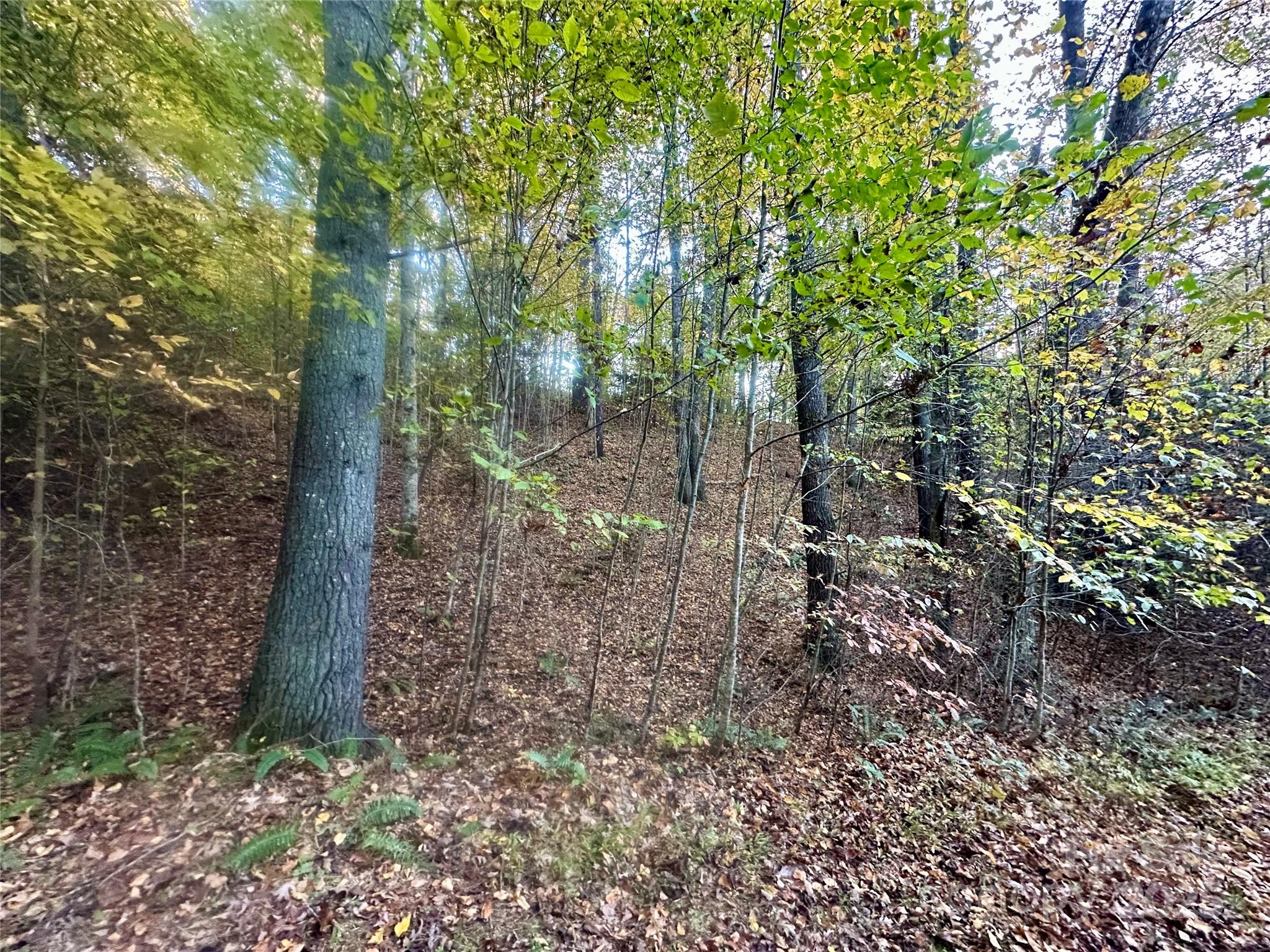 0 Wildlife Drive, Unit 7 Clyde, NC 28721 - Photo 8 of 8