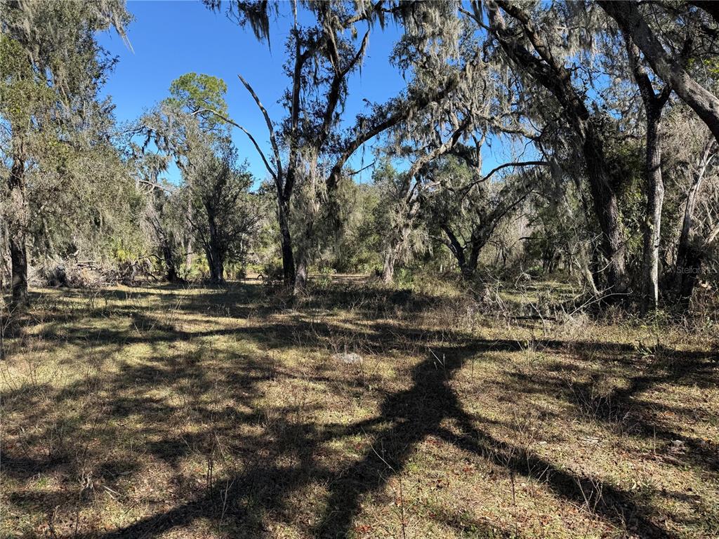 18630 Bradshaw Road Dade City, FL 33523 - Photo 22 of 43 a view of outdoor space and yard
