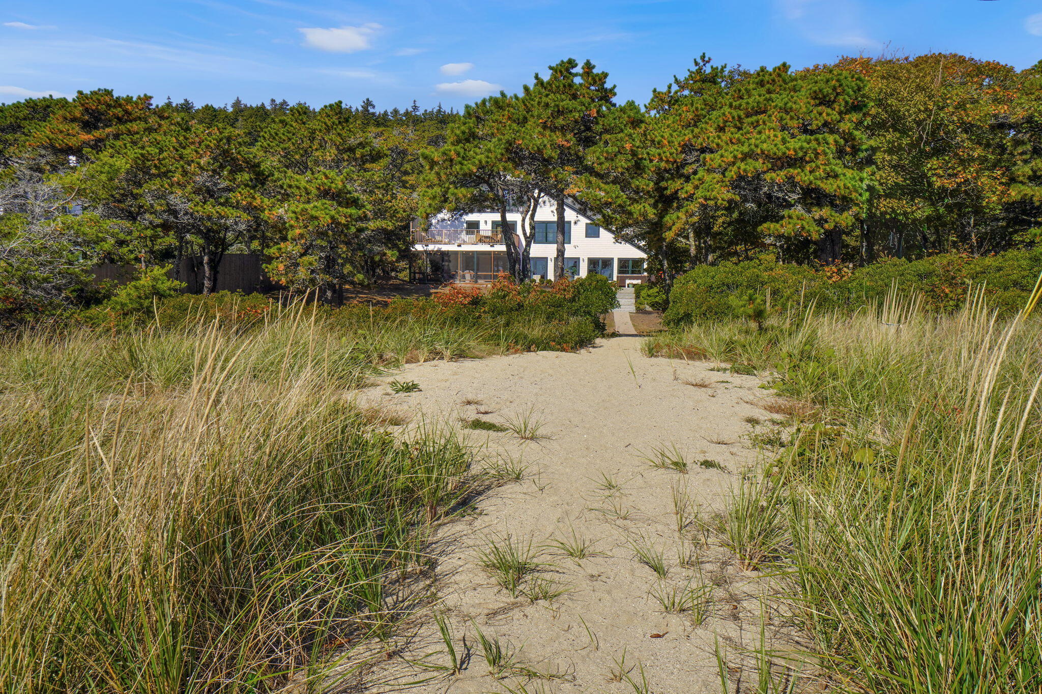 823 Popham Road Phippsburg, ME 04562 - Photo 9 of 119 8-web-or-mls-DSC02637