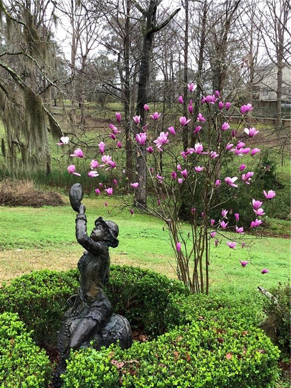 110 Hickory Hill Road Boyce, LA 71409 - Photo 28 of 29 Gallery Image 28