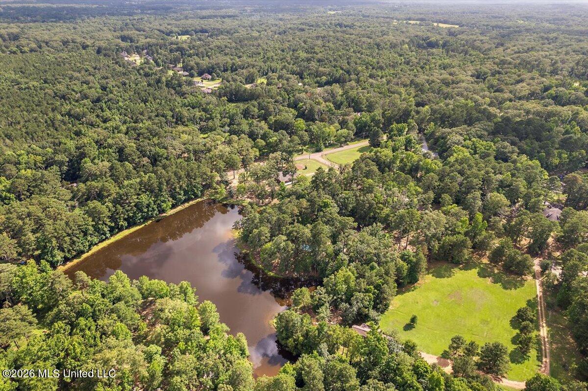 402 Springwood Circle Terry, MS 39170 - Photo 46 of 49 46-IDJI_0031