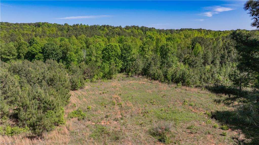 3917 Mountain Creek Road Asheboro, NC 27205 - Photo 11 of 13
