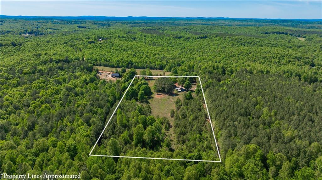 3917 Mountain Creek Road Asheboro, NC 27205 - Photo 3 of 13