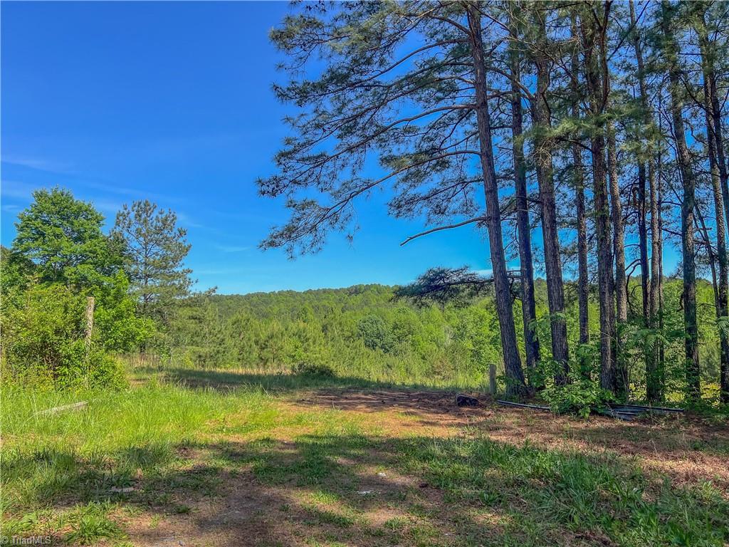 3917 Mountain Creek Road Asheboro, NC 27205 - Photo 6 of 13
