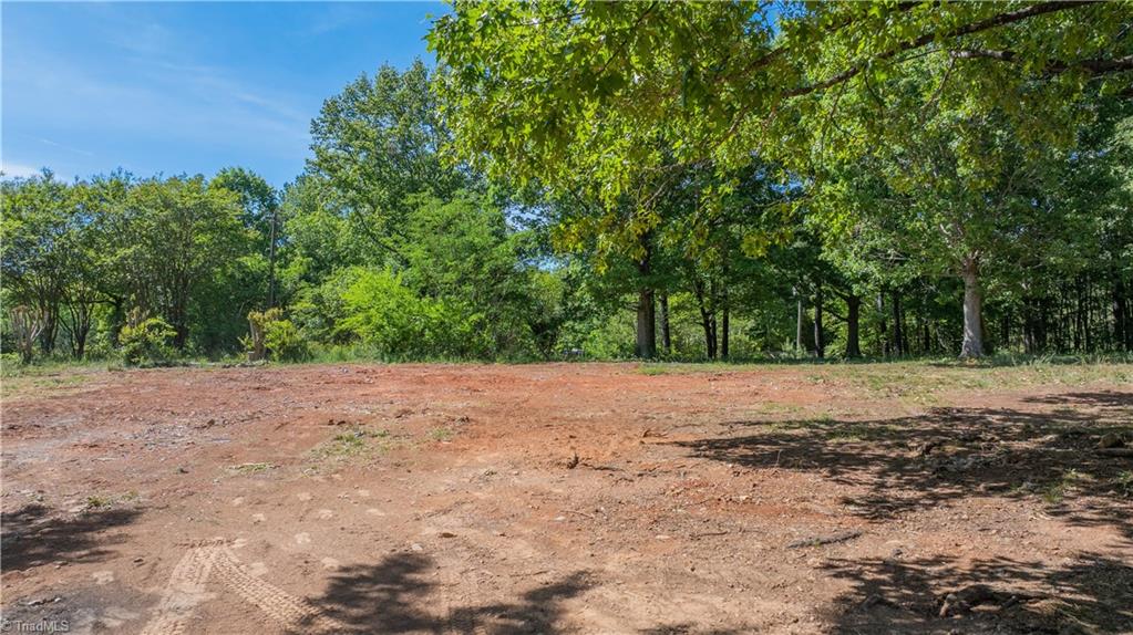 3917 Mountain Creek Road Asheboro, NC 27205 - Photo 7 of 13