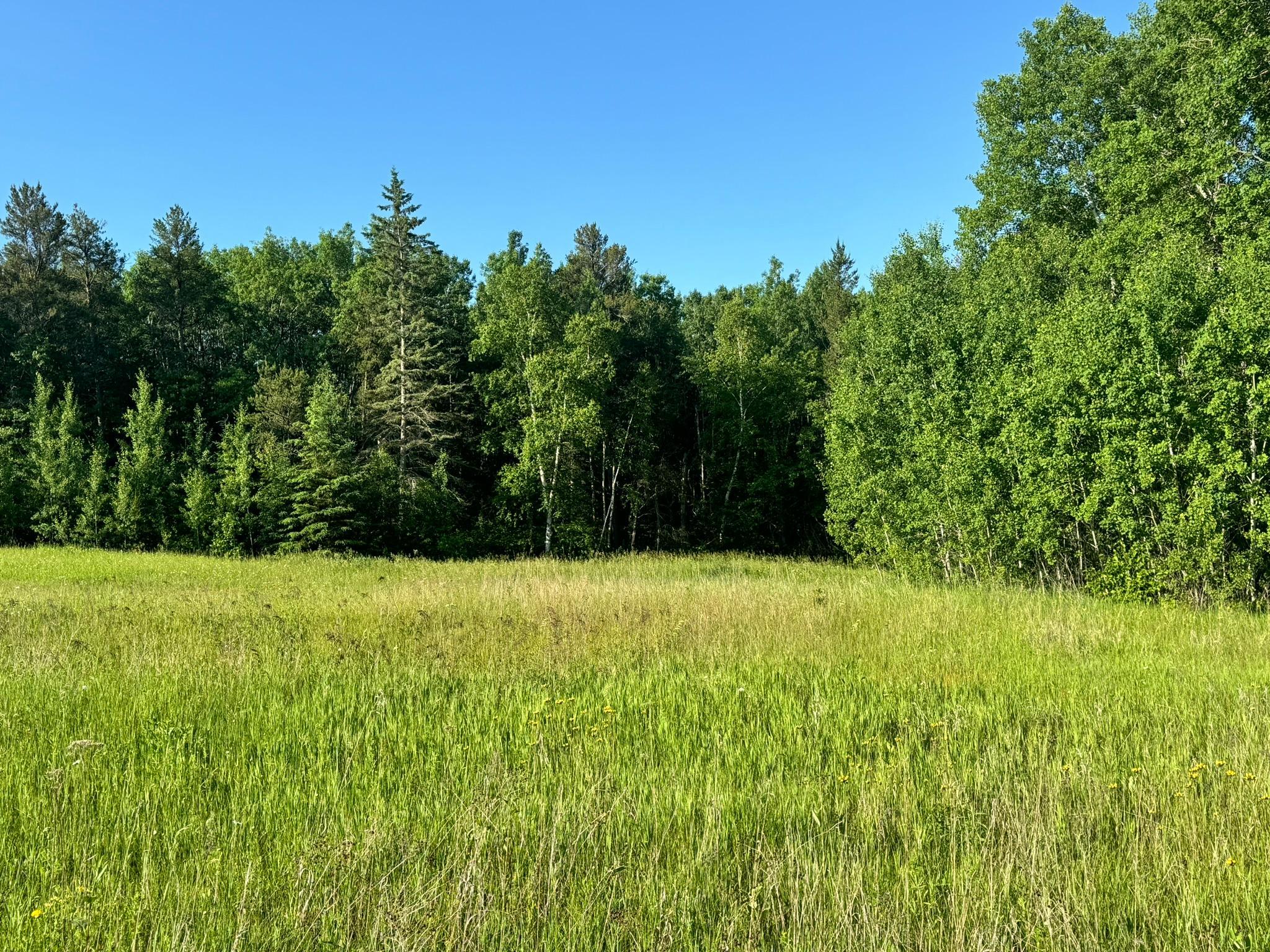 5159 Rocky Ridge Road Northwest Hackensack, MN 56452 - Photo 4 of 5