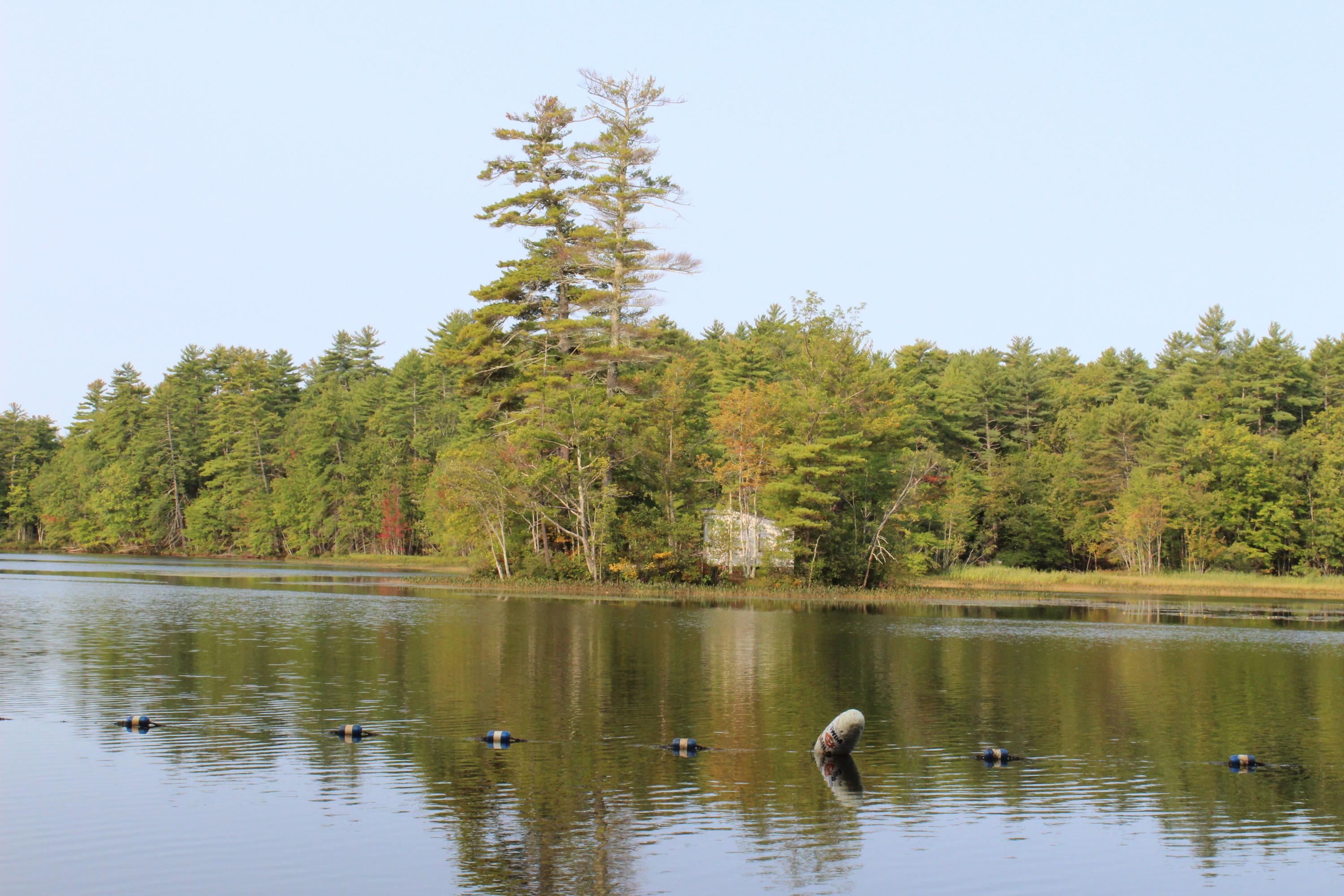 26 Ridgeway Circle North Waterboro, ME 04061 - Photo 39 of 41 IMG_0877