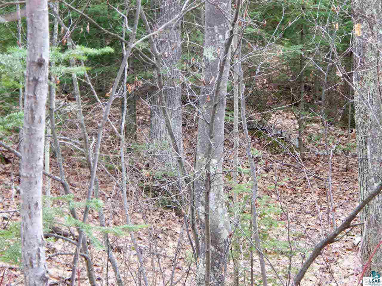 Xxxx Kinney Valley Road Port Wing, WI 54865 - Photo 13 of 16 Gallery Image 13