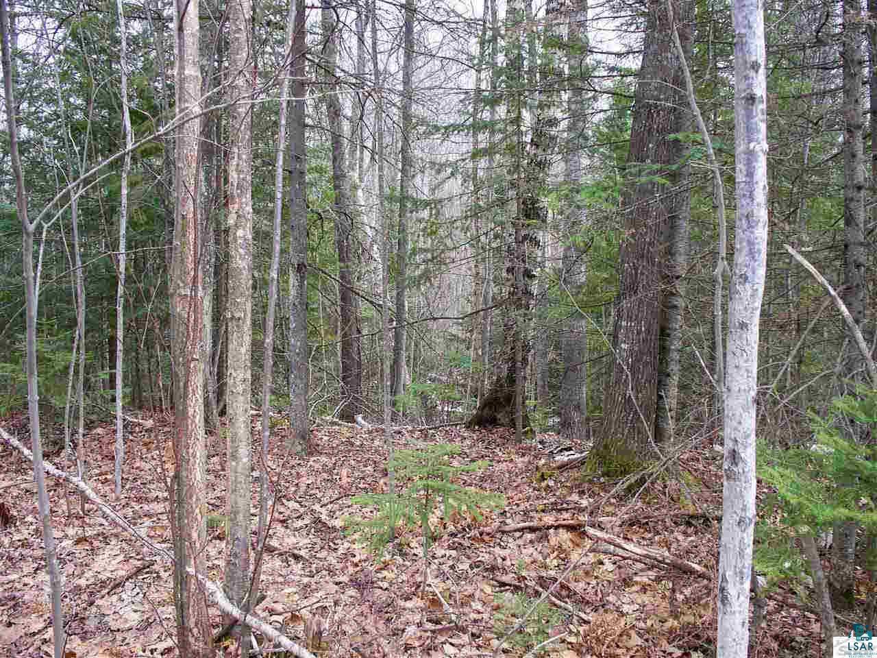 Xxxx Kinney Valley Road Port Wing, WI 54865 - Photo 14 of 16 Gallery Image 14