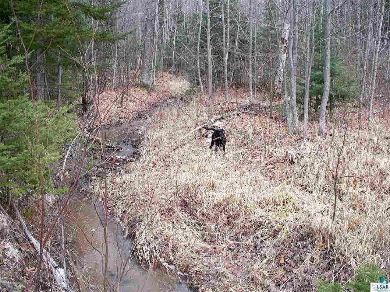 Xxxx Kinney Valley Road Port Wing, WI 54865 - Photo 7 of 16 Gallery Image 7