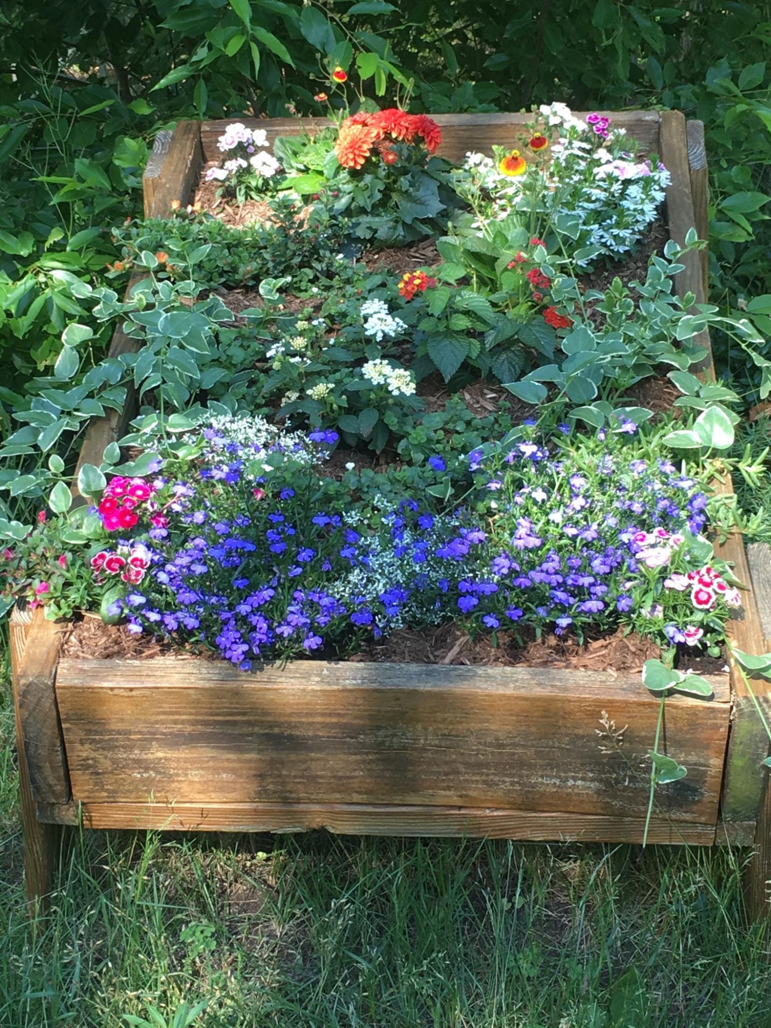7 Pheasant Run Road Harwich, MA 02645 - Photo 9 of 35 flowers 2