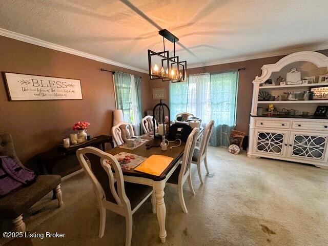 608 Edgemont Road Irvington, KY 40146 - Photo 22 of 47 IMG_7987