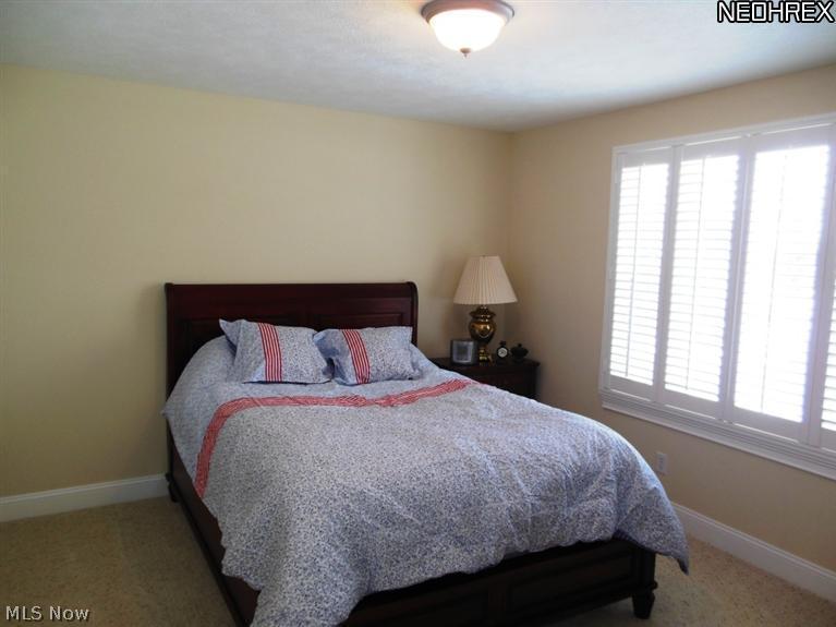 3366 Azalea Ridge Drive Perry, OH 44081 - Photo 18 of 25