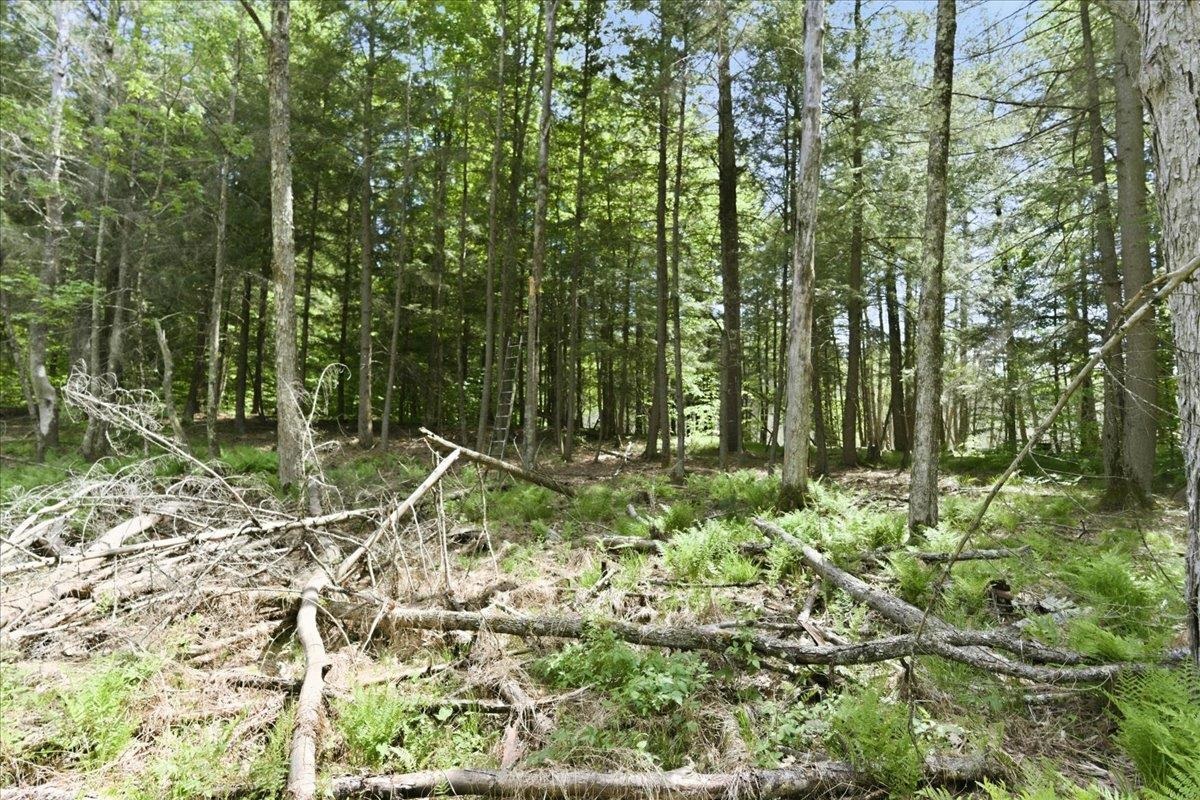 14754 North McComb Lake Road Mountain, WI 54149 - Photo 65 of 82