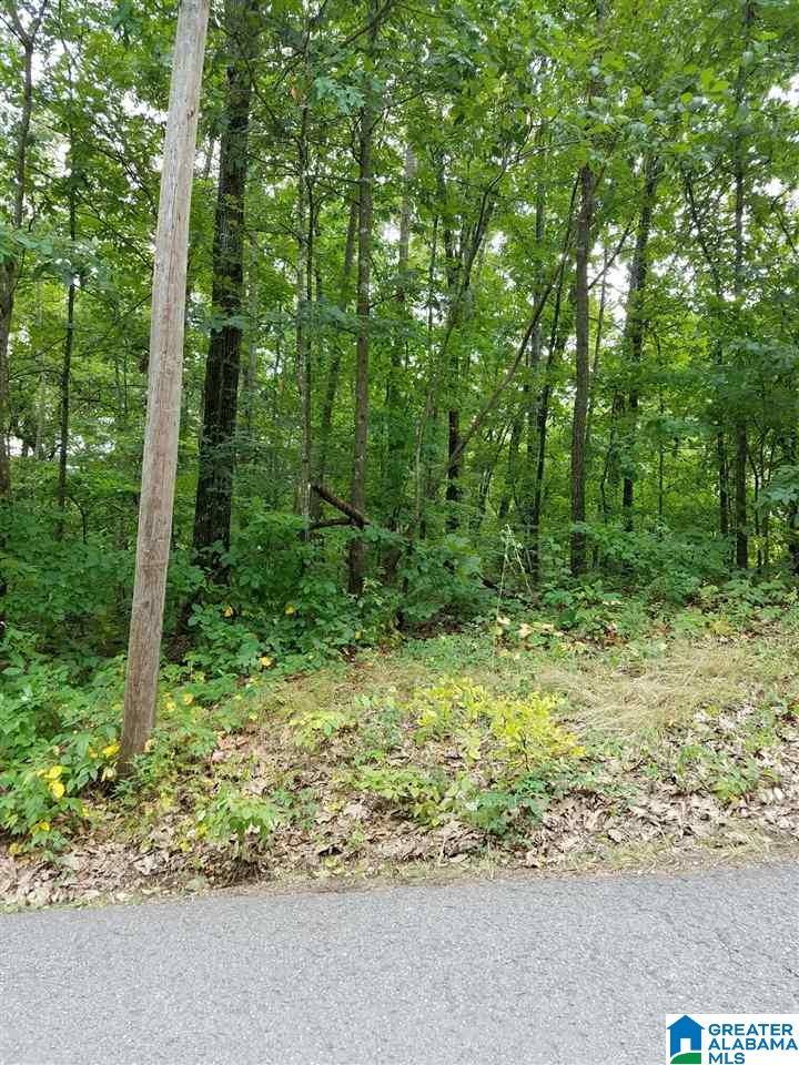 Hudson Avenue, Unit 1 Oneonta, AL 35121 - Photo 1 of 2