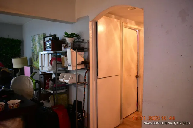 a room with lots of potted plants