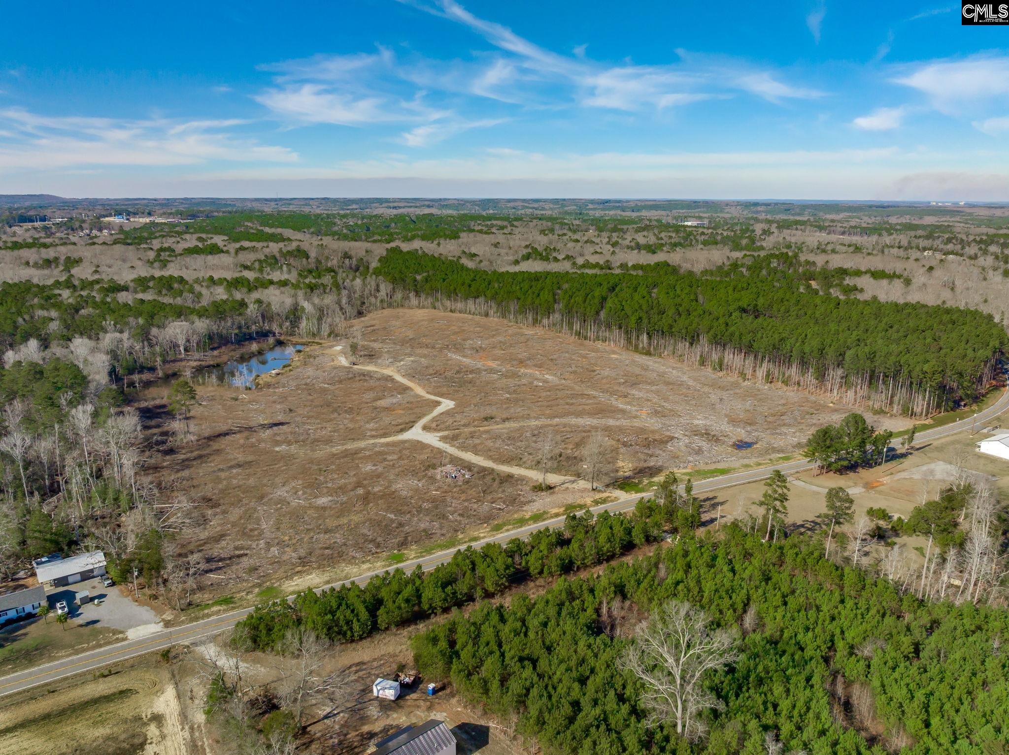501 Crooked Creek Road Chapin, SC 29036 - Photo 5 of 28