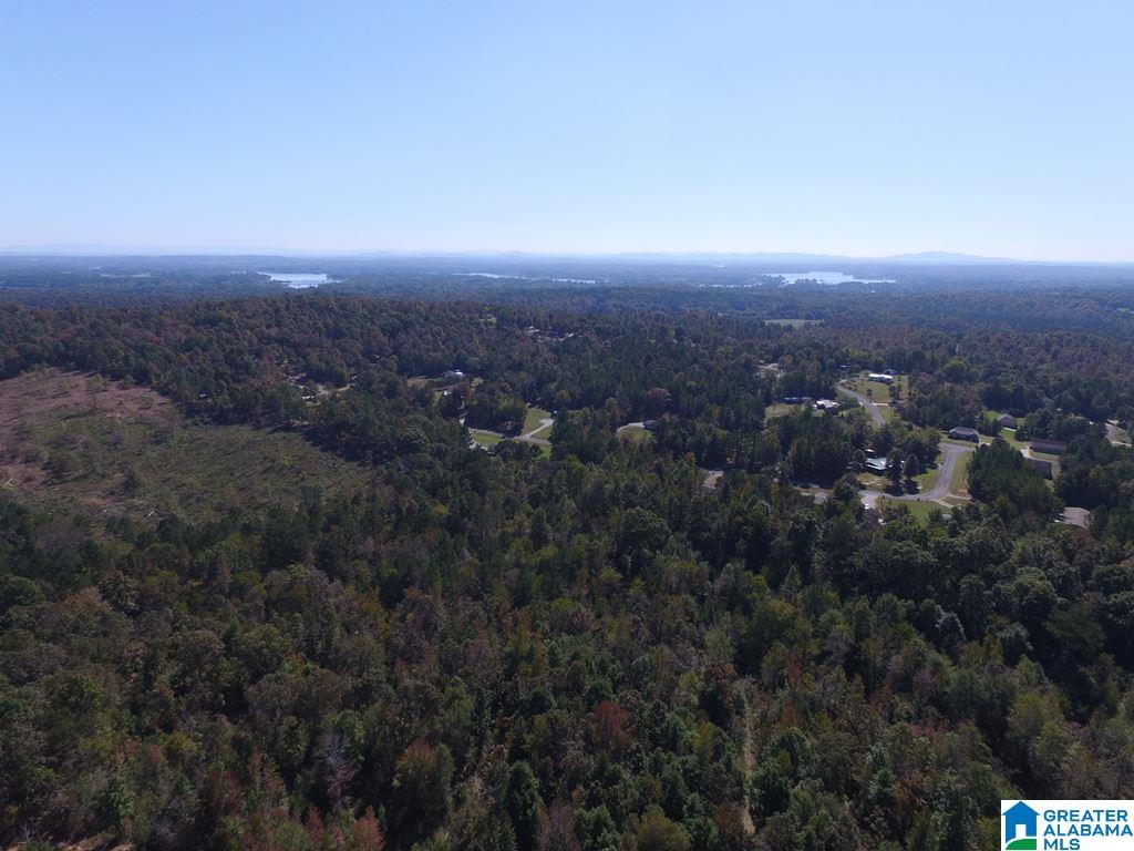 Sprayberry Road, Unit 103 Cropwell, AL 35054 - Photo 11 of 48