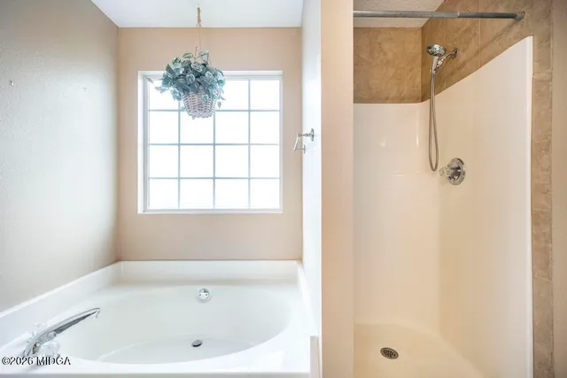 a bathroom with a bathtub