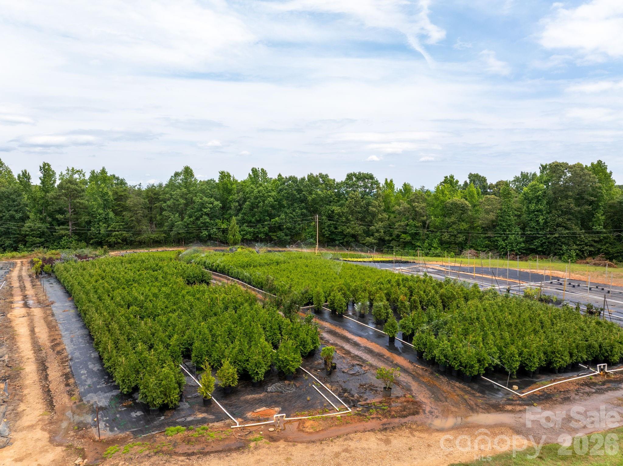 1350 Lee Cudd Road Rutherfordton, NC 28139 - Photo 4 of 38
