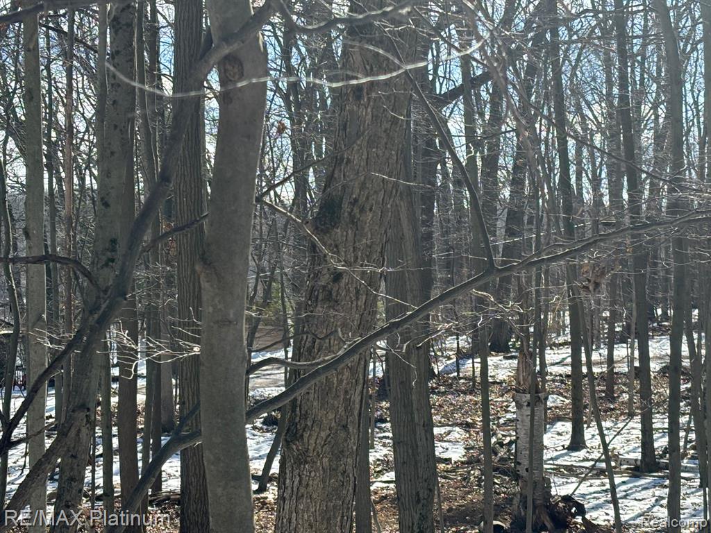V/l Tipsico Lake Road Holly, MI 48442 - Photo 8 of 21 Gallery Image 8